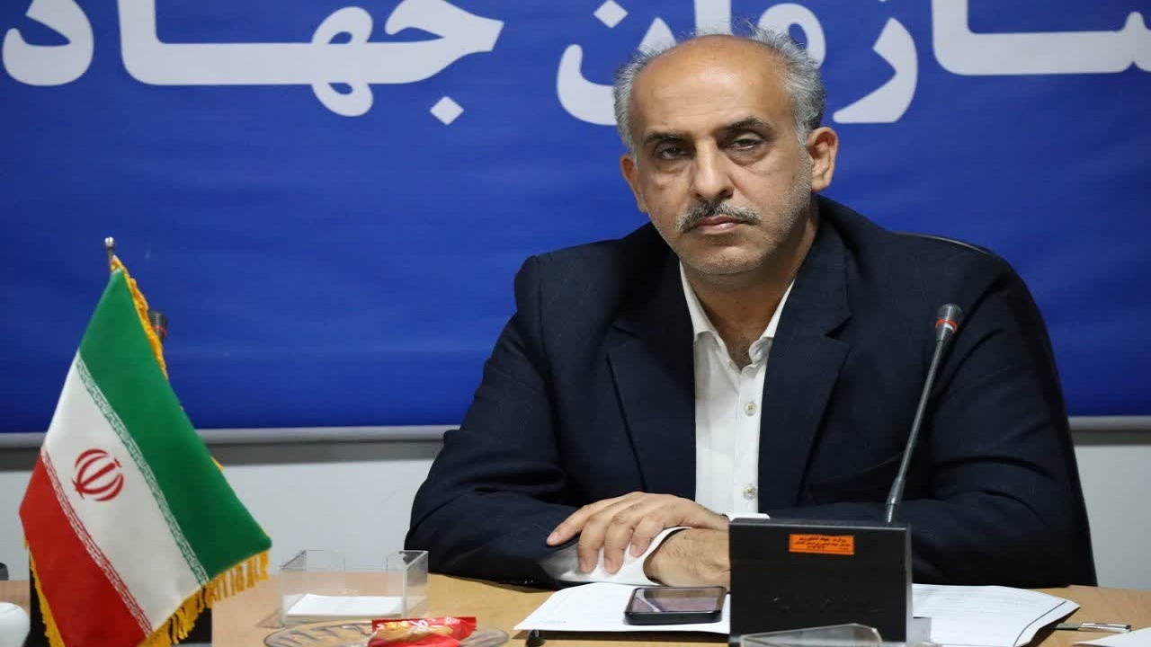 فعالیت ۲۸۳ شرکت تعاونی در بخش تعاون روستایی گلستان