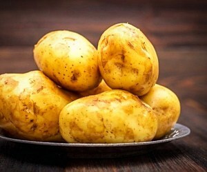 برداشت سیب زمینی در شهرستان طالقان