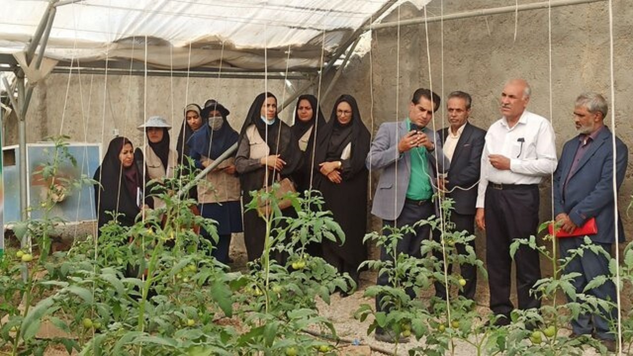 آغاز پنجمین کاروان ترویجی الگوی کشت پاییزه در سیستان و بلوچستان