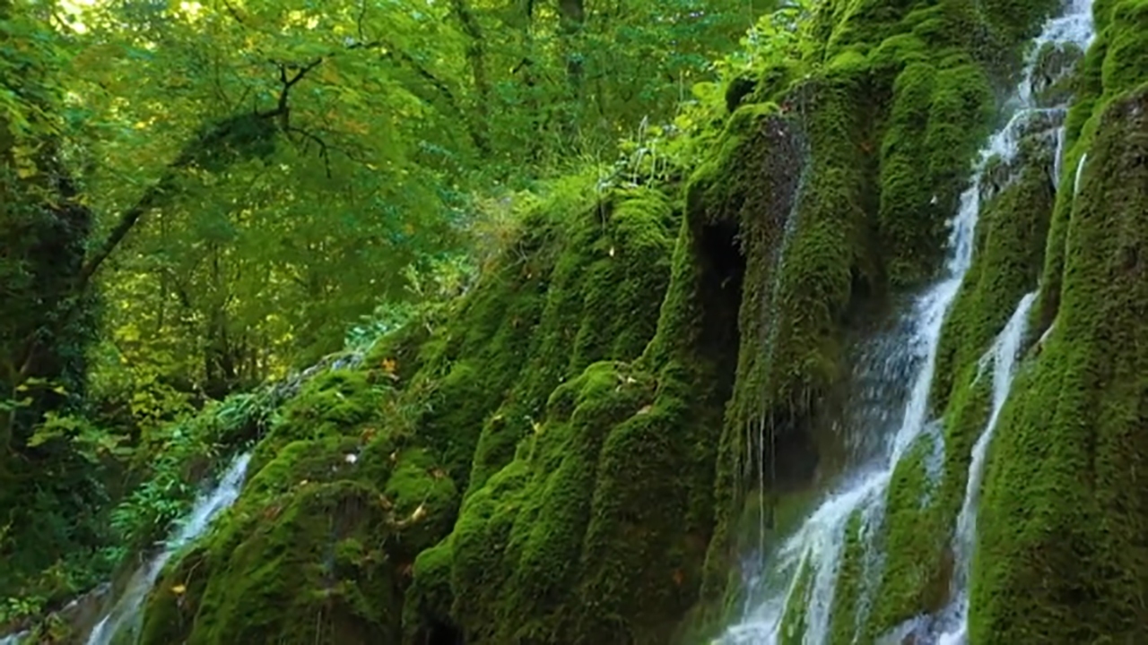 تصاویر دیدنی از طبیعت زیبای مازندران