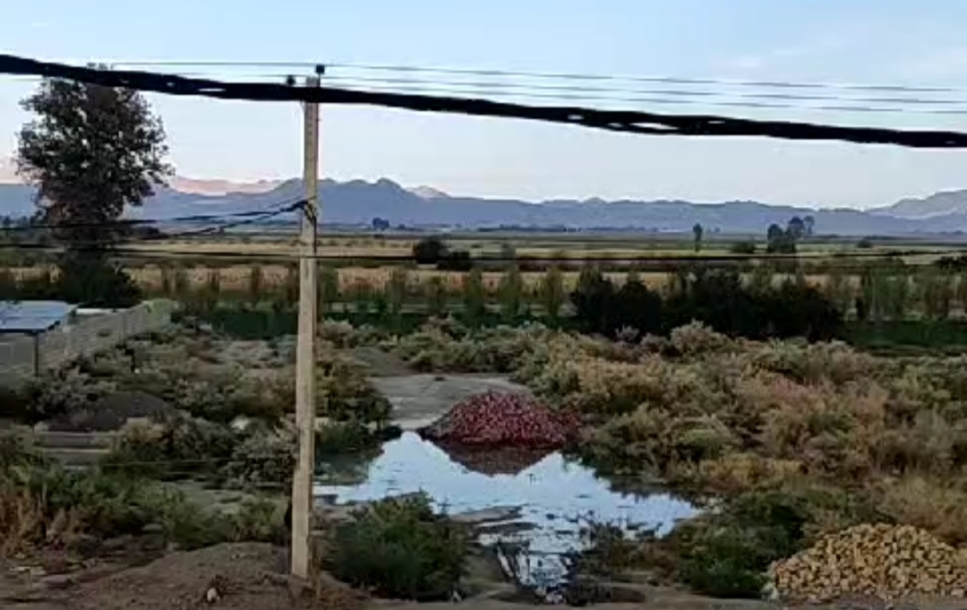 شکستگی لوله و هدر رفت آب در منطقه کشاورزی روستای گچین ارزوئیه + فیلم