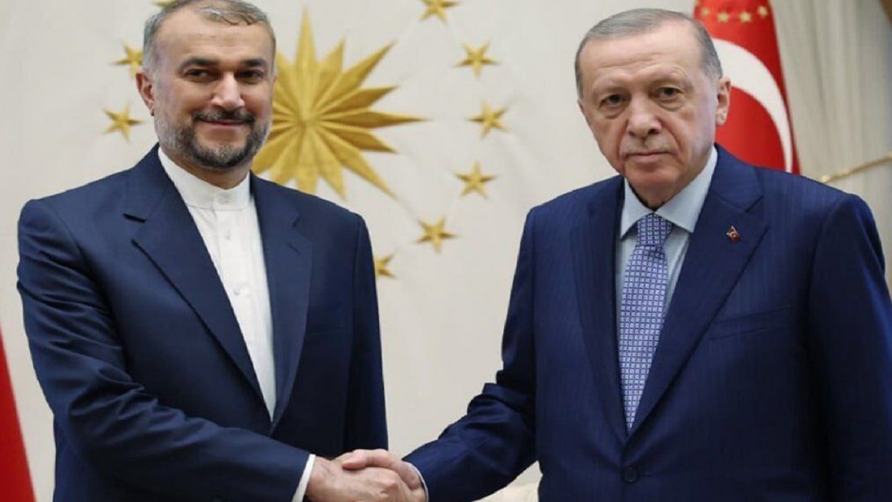 امیرعبداللهیان و اردوغان درباره تحولات غزه رایزنی کردند