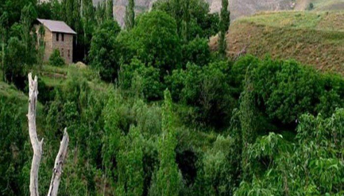 فشندک نگین سبز طالقان