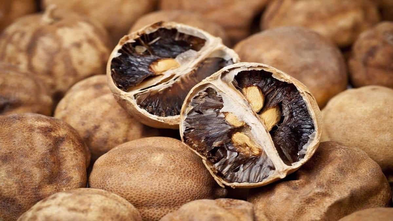 تولید بیش از ۲ هزار تن لیمو خشک در هرمزگان