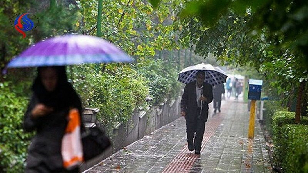 ثبت ۱۱.۵ میلی متر بارش باران در الموت شرقی