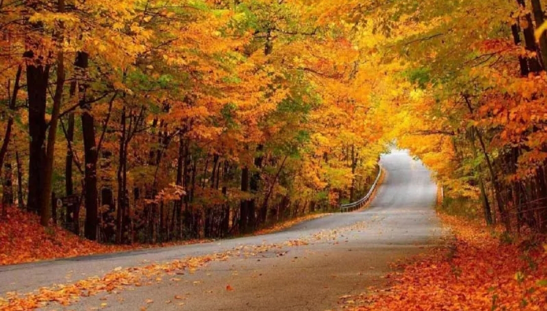 گوشه‌هایی از زیبایی فصل پاییز در طبیعت روستای باغو گلستان + تصاویر