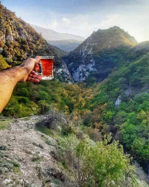 طبیعت سرسبز