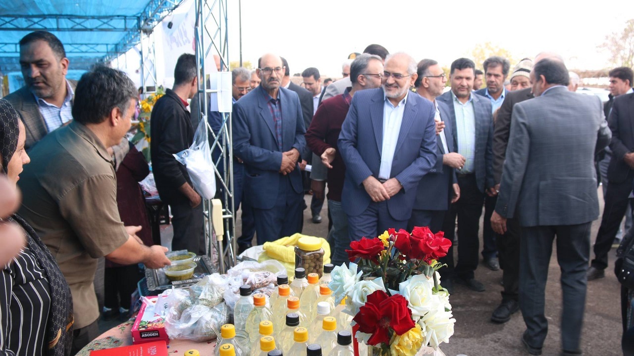 راویز در اوج خشکسالی طلای سرخ تولید می‌کند