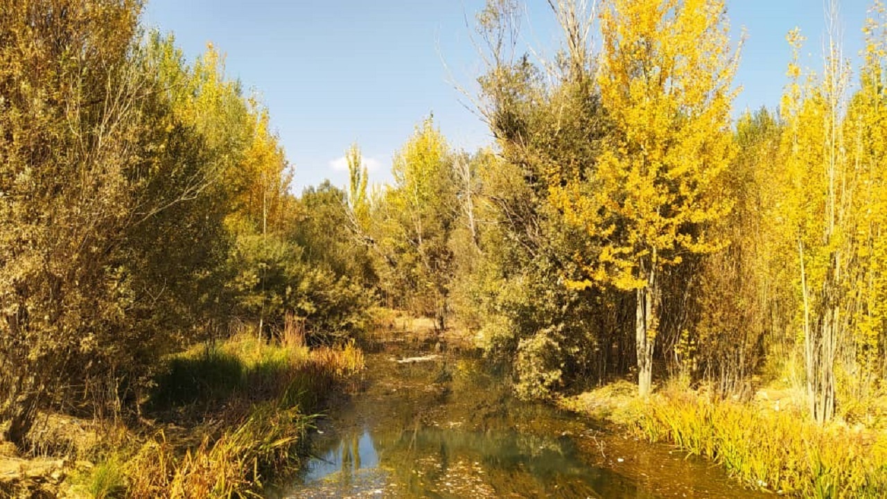 طبیعت پاییزی در روستای ده چشمه + فیلم