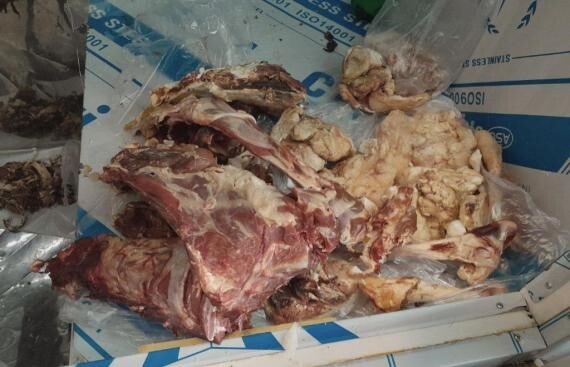 معدوم‌سازی ۳ لاشه گوسفند در نهاوند