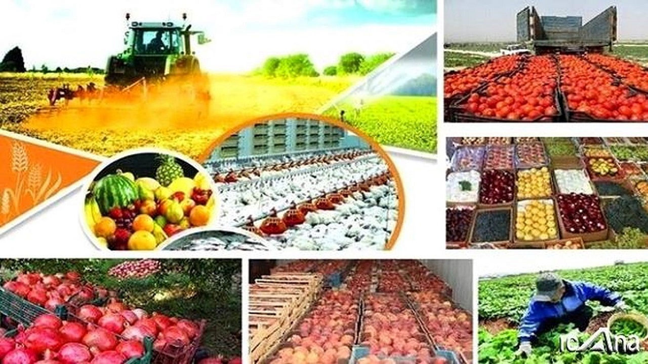 خرید توافقی محصولات مازاد کشاورزان یزدی با تسهیلات ترجیحی