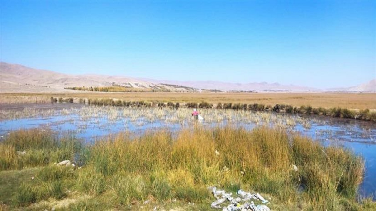 اقدام فرهنگی خودجوش برای پاکسازی تالاب گندمان
