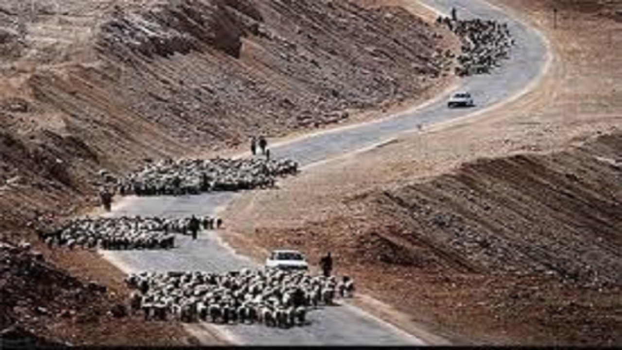 ۹۵ درصد از عشایر گچساران با خودرو به مناطق قشلاقی کوچ کردند