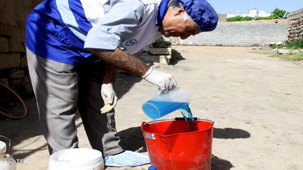 مایه کوبی ۳۲ هزار قطعه طیور بومی علیه بیماری نیوکاسل در مهاباد