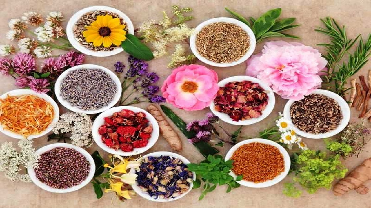 خوردن روزی یک انار در پاییز برای دور کردن بیماری
