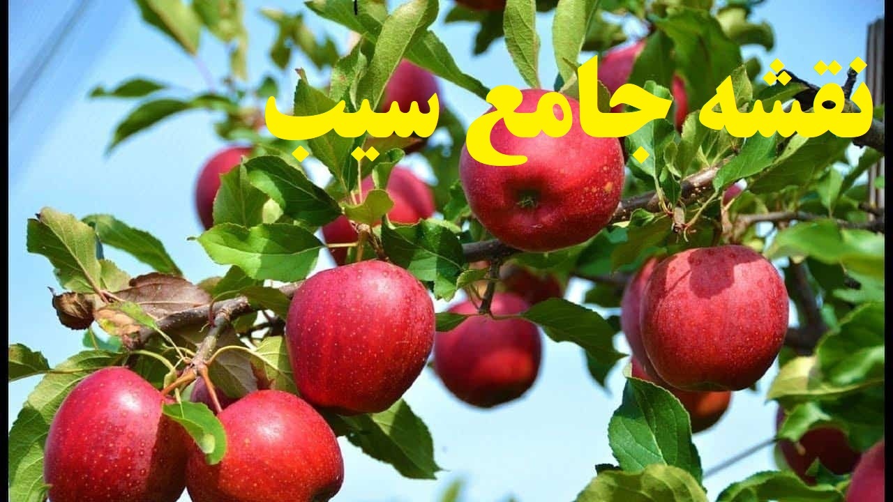 تهیه نقشه جامع سیب آذربایجان غربی