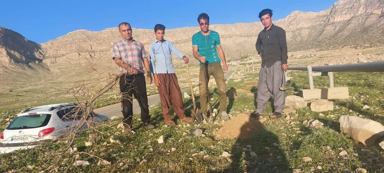 آبیاری درختان