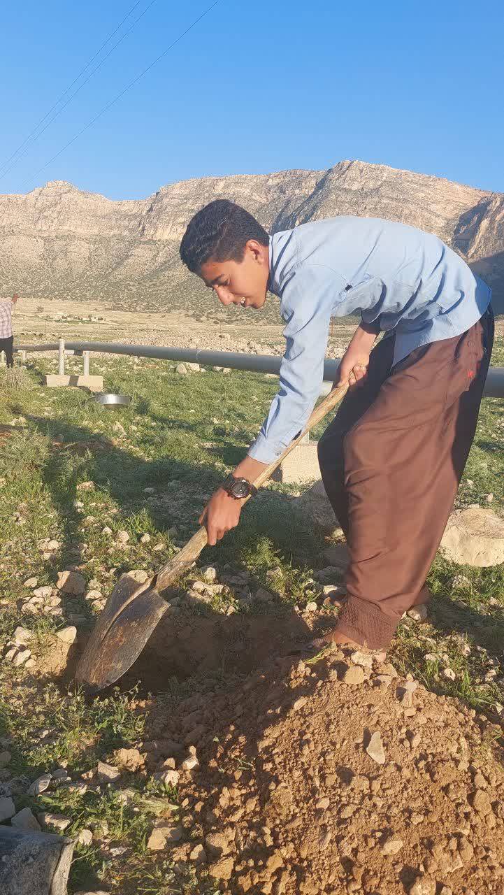 آبیاری شدن درختان