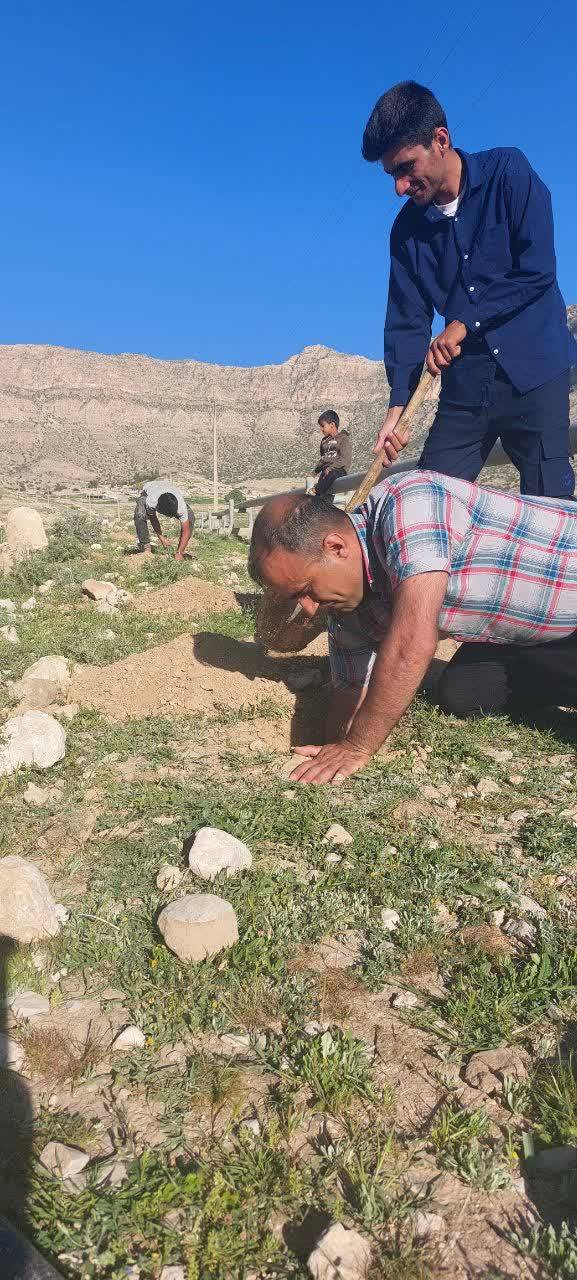 آبیاری نهال ها