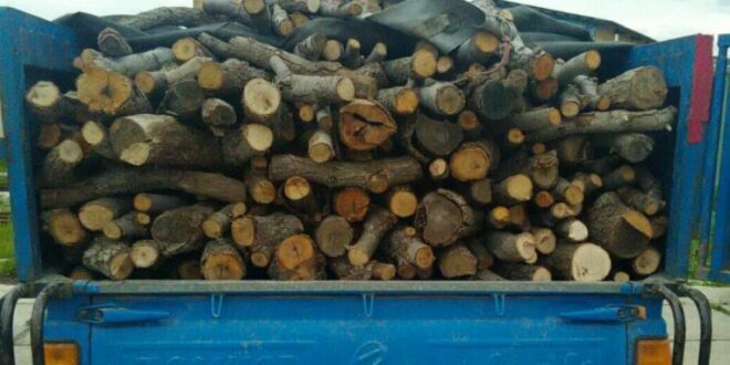 کشف ۲ تن چوب باغی در بیرجند