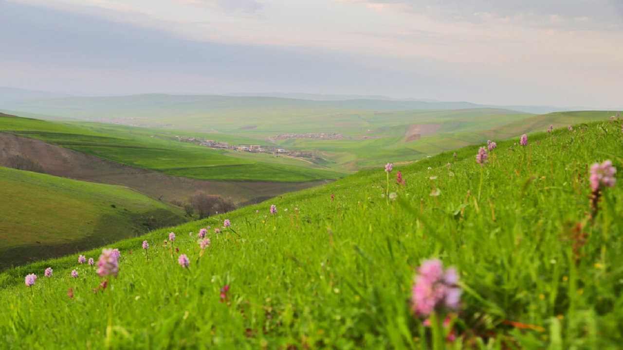 گوشه‌هایی از طبیعت دو بهاره گرمی + فیلم