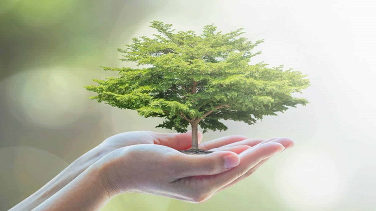 آغاز عملیات کاشت نهال زمینی در نهالستان چهارتخته شهرکرد