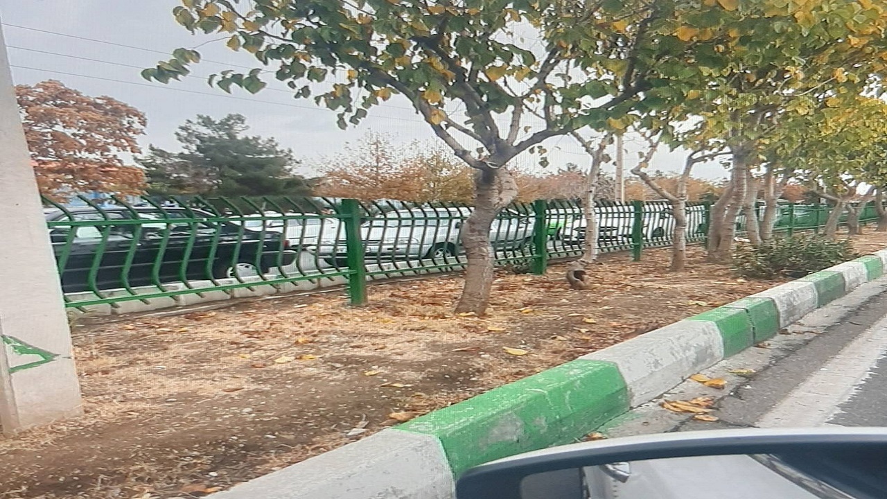 درخواست شهروندان تهرانی برای زیباسازی بلوار بهار در حکیمیه + تصاویر