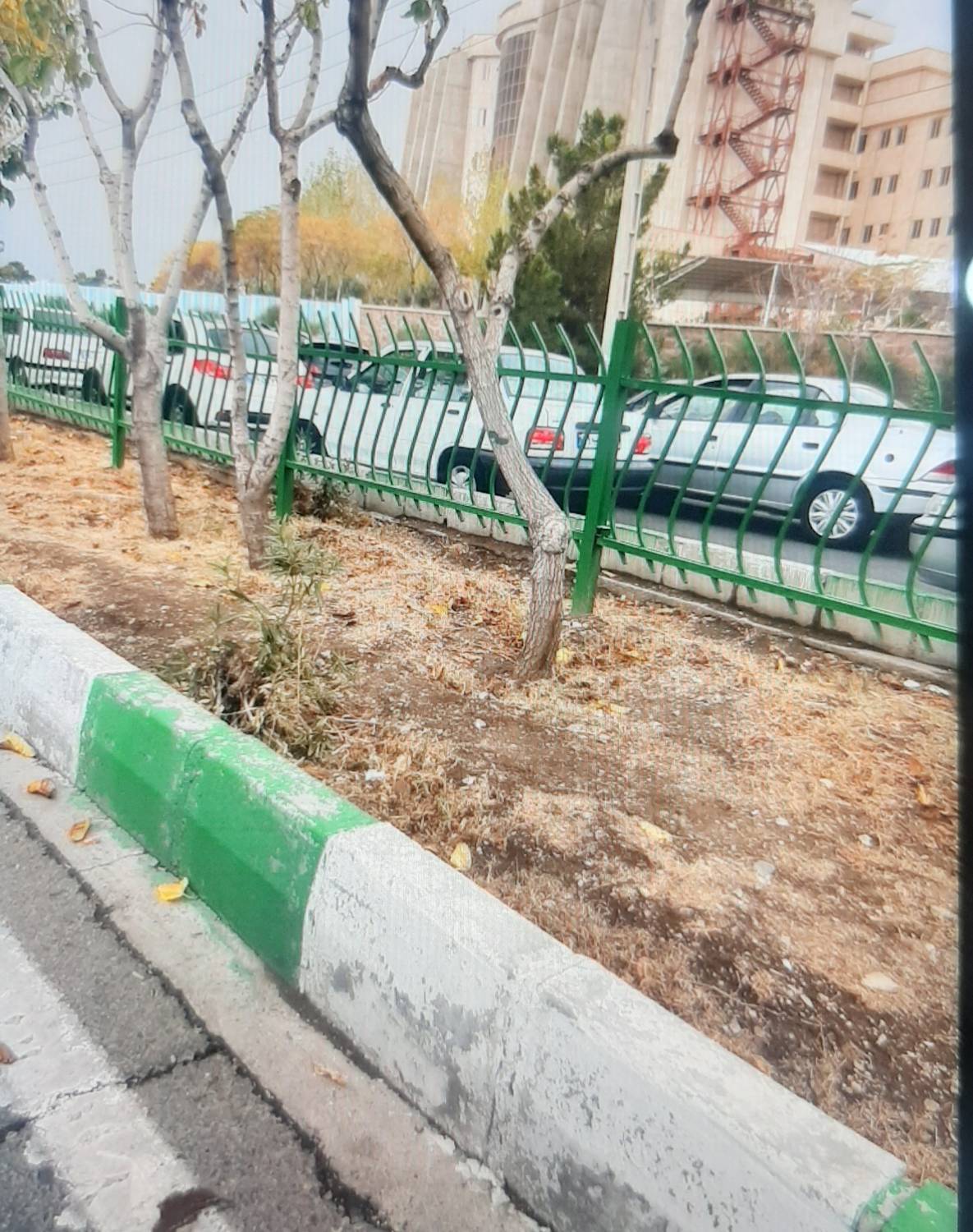 درخواست شهروندان بلوار بهار برای توسعه فضای سبز