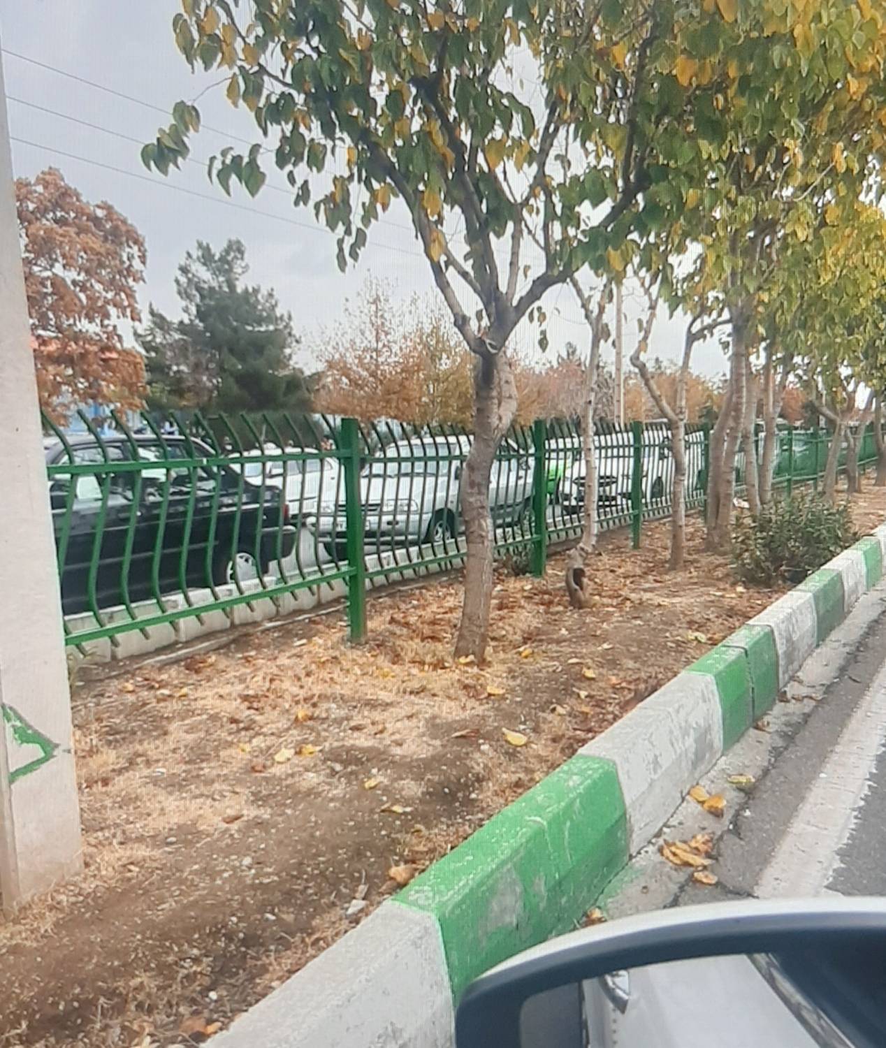 توسعه فضای سبز در بلوار  بهار حکیمیه تهران درخواست شهروندخبرنگار ما شد