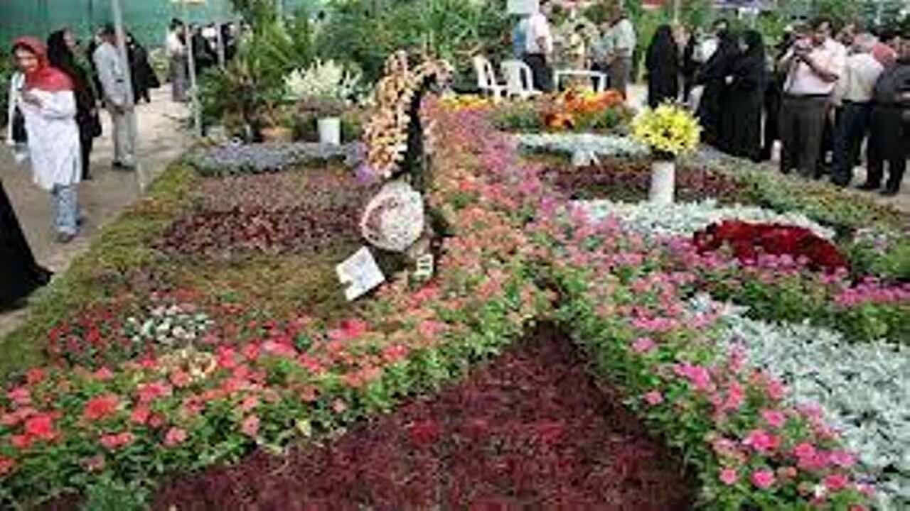 کاشت نشای گل فصلی در بندرعباس