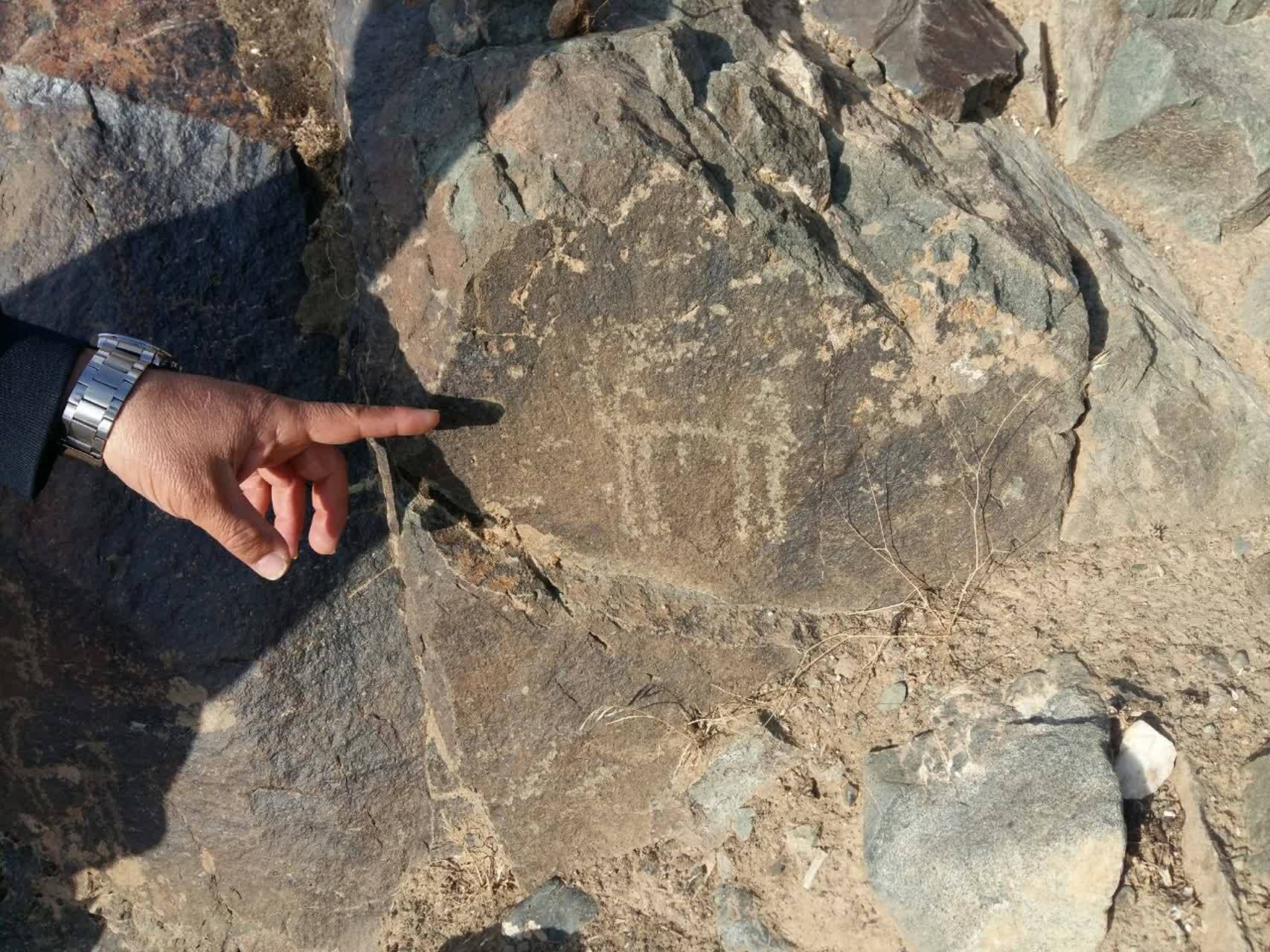نق بز روی سنگ