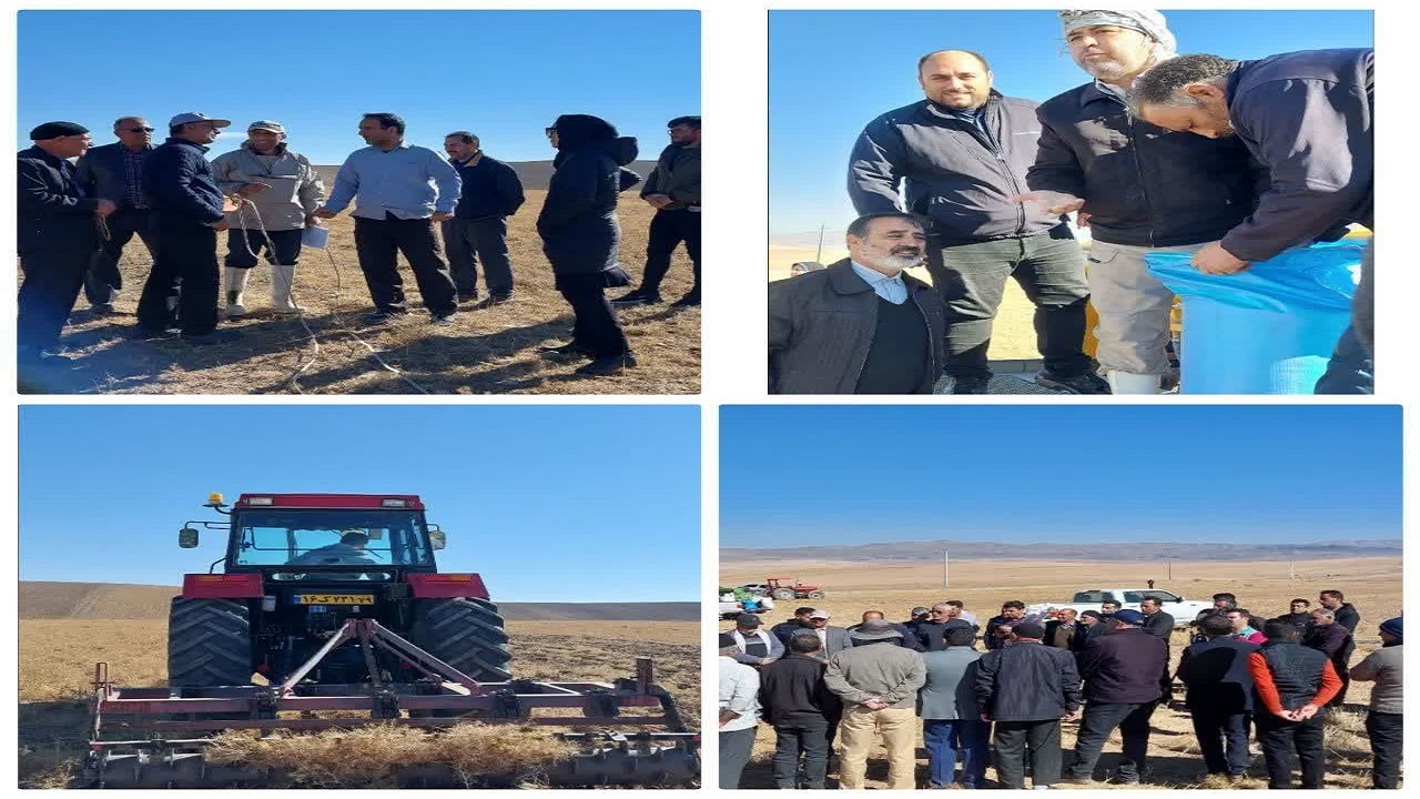 اجرای پایگاه نوآوری طرح جهش تولید در دیمزار‌ها در روستای چاه برف