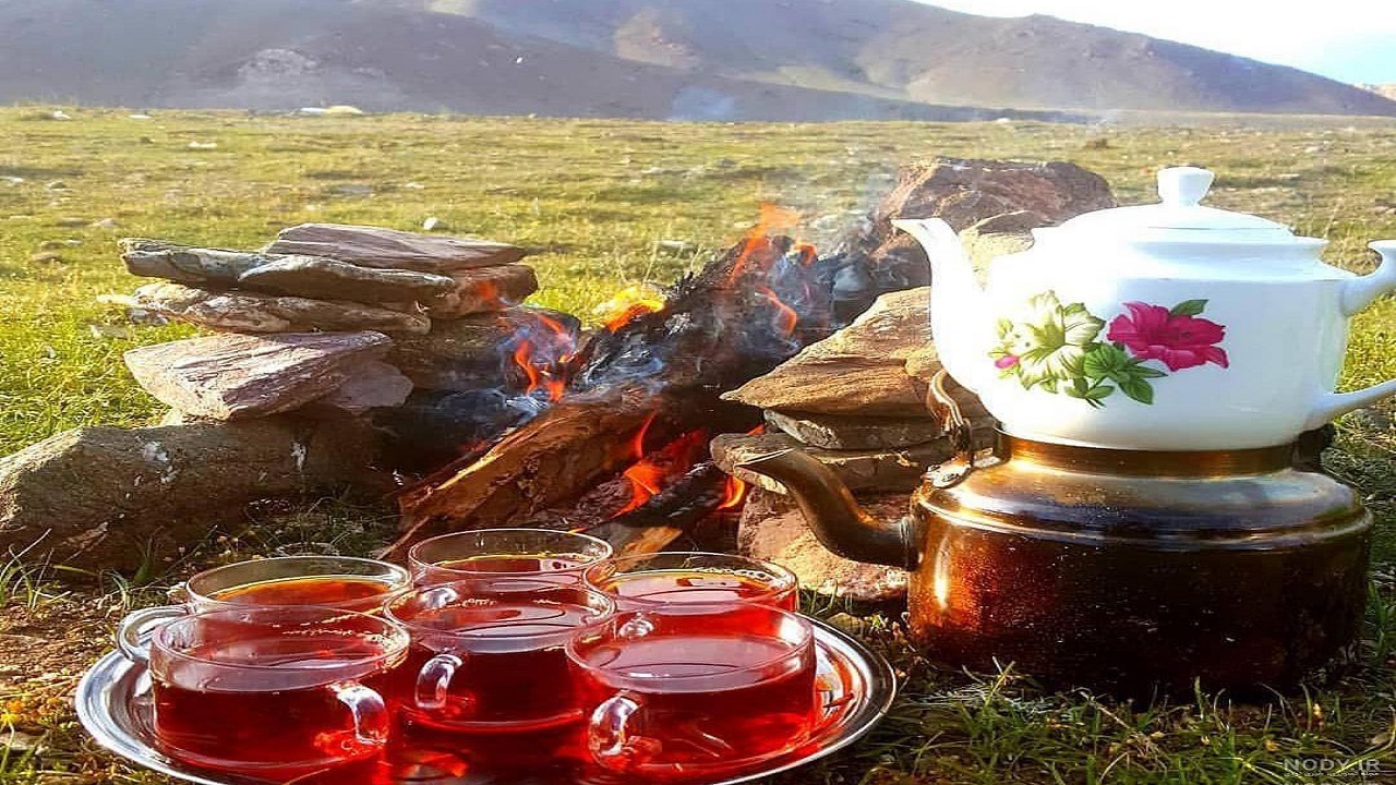 لذت نوشیدن چای در دل طبیعت پاییزی روستا‌های گرمی + فیلم
