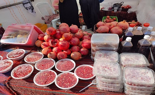 شکرانه برداشت انار سرخ اورامان / قطب تولید انار