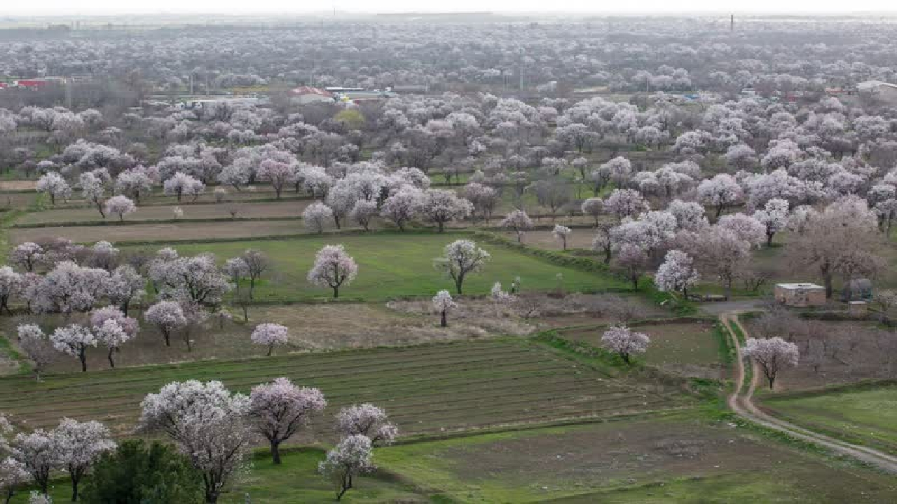 ثبت باغستان سنتی قزوین در نظام میراث کشاورزی جهانی