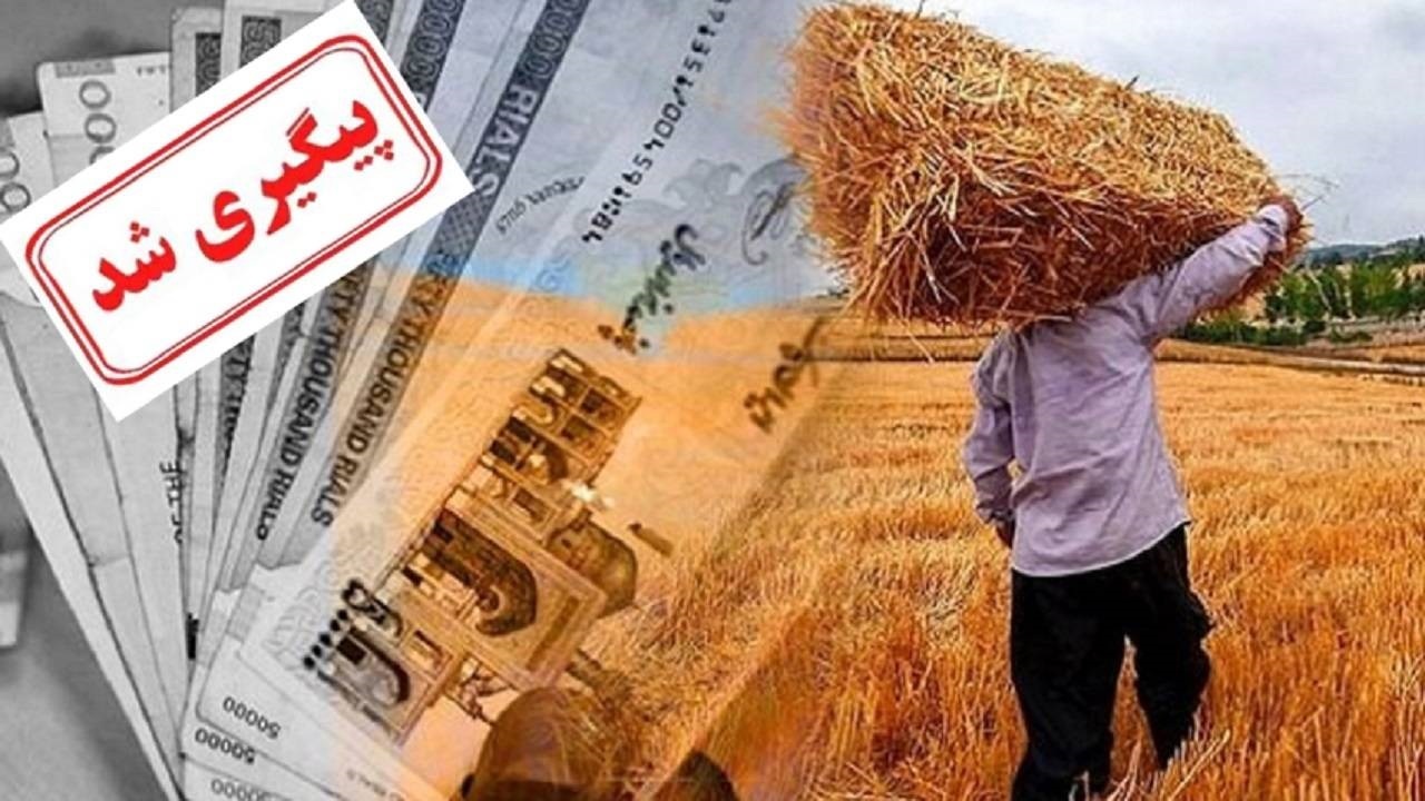 مطالبات گندمکاران استان همدان پرداخت شد