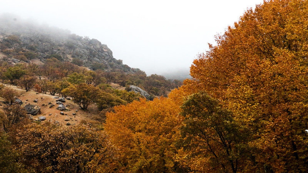 فیلمی از طبیعت پاییزی و رنگارنگ روستای جغدان