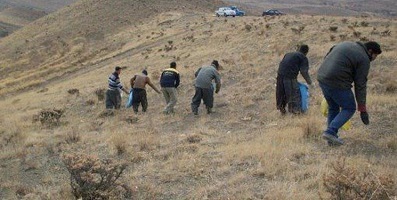 آغاز پویش بذرکاری در ۲۰۰ هکتار از مراتع شهرستان بهار