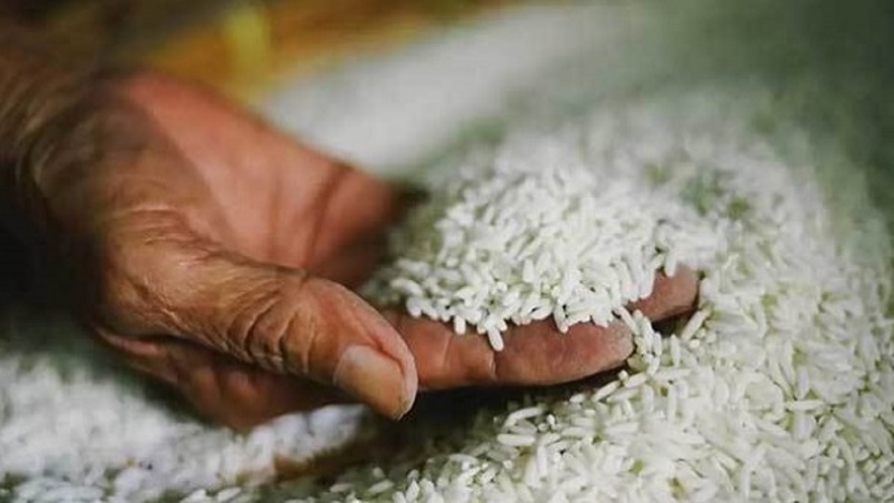 عرضه ذخایر احتیاطی برنج در دوره ممنوعیت فصلی واردات
