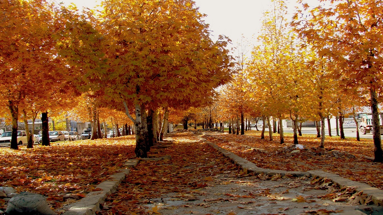 طبیعت پاییزی دهگلان در قالب تصاویر