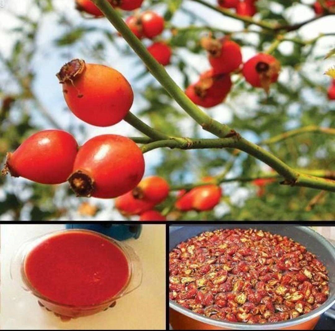 زرشک