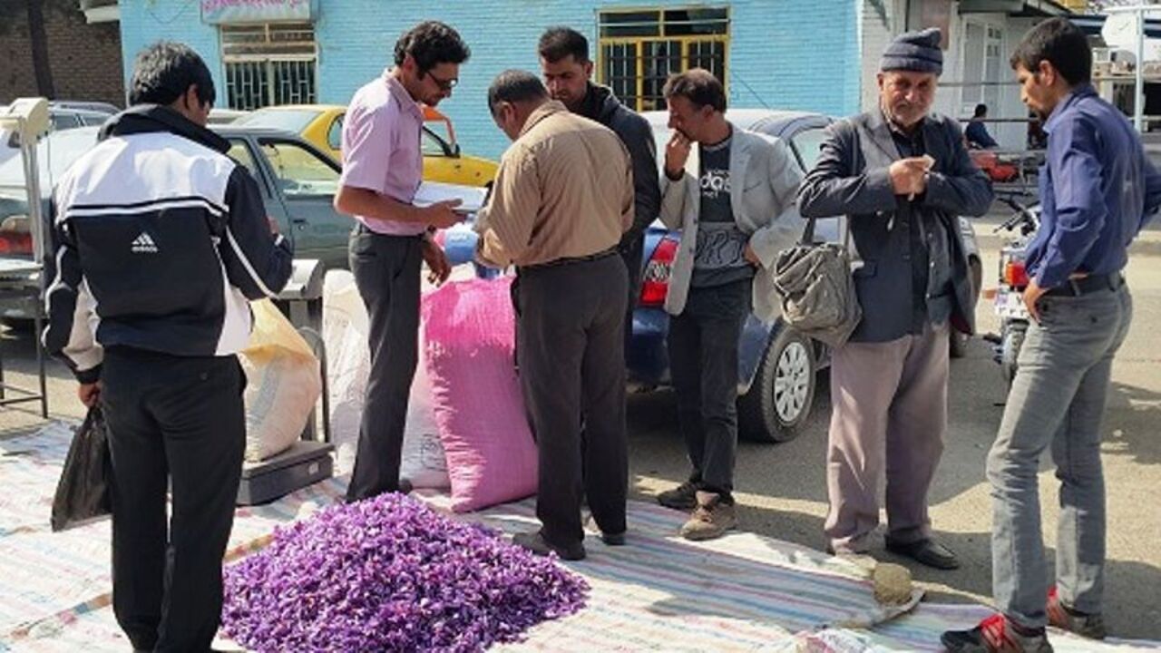 بازار موسمی گل زعفران تربت‌حیدریه افتتاح شد