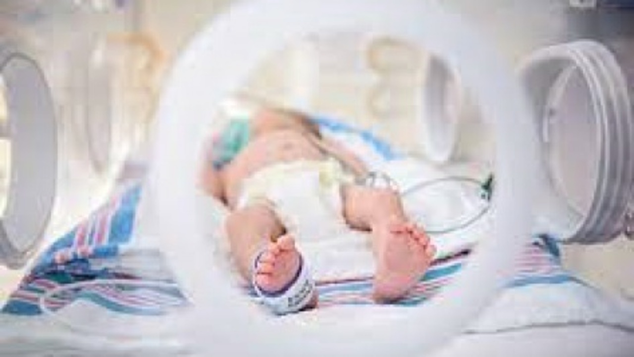 مرگ و میر نوزادان بستری در بخش nicu بیمارستان امام رضا (ع) کمتر از ۱۰ درصد