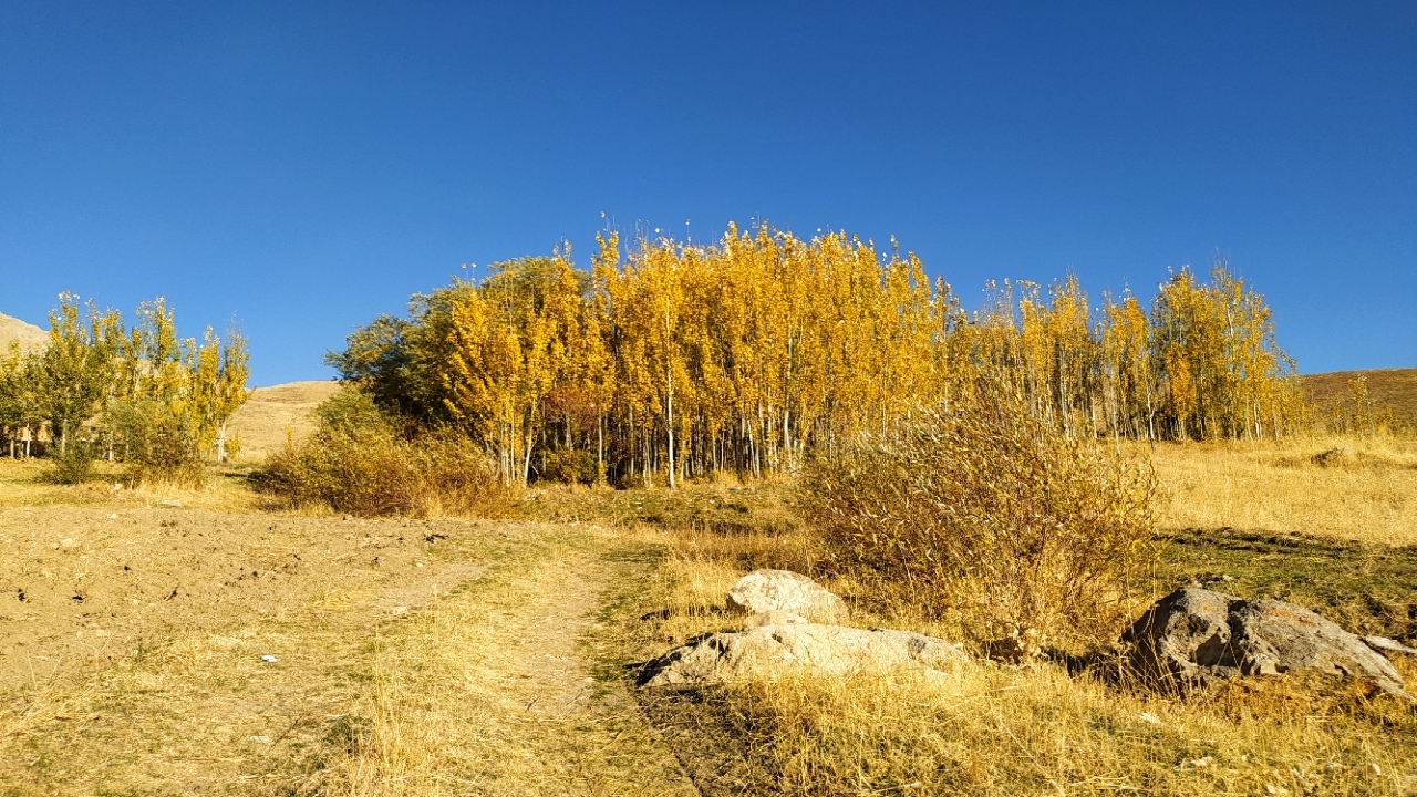 پاییز روستای چوبین + تصاویر