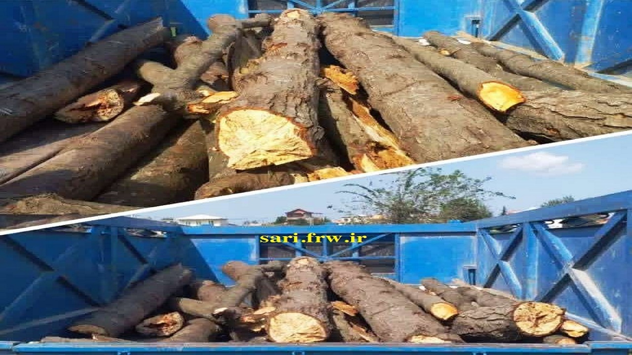 توقیف خودروی حامل چوب قاچاق در نور