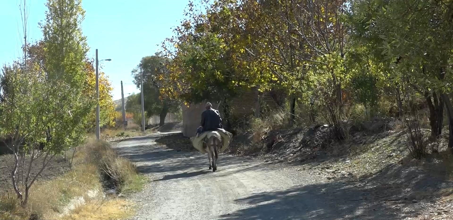 پاییز شگفت انگیز روستای خلیلی + فیلم