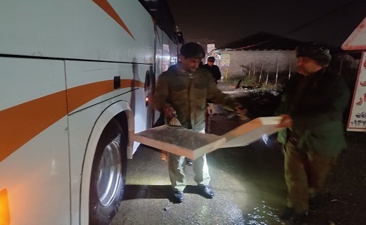 کشف ۶۰ قطعه پرنده سهره طلایی از یک اتوبوس در آستارا