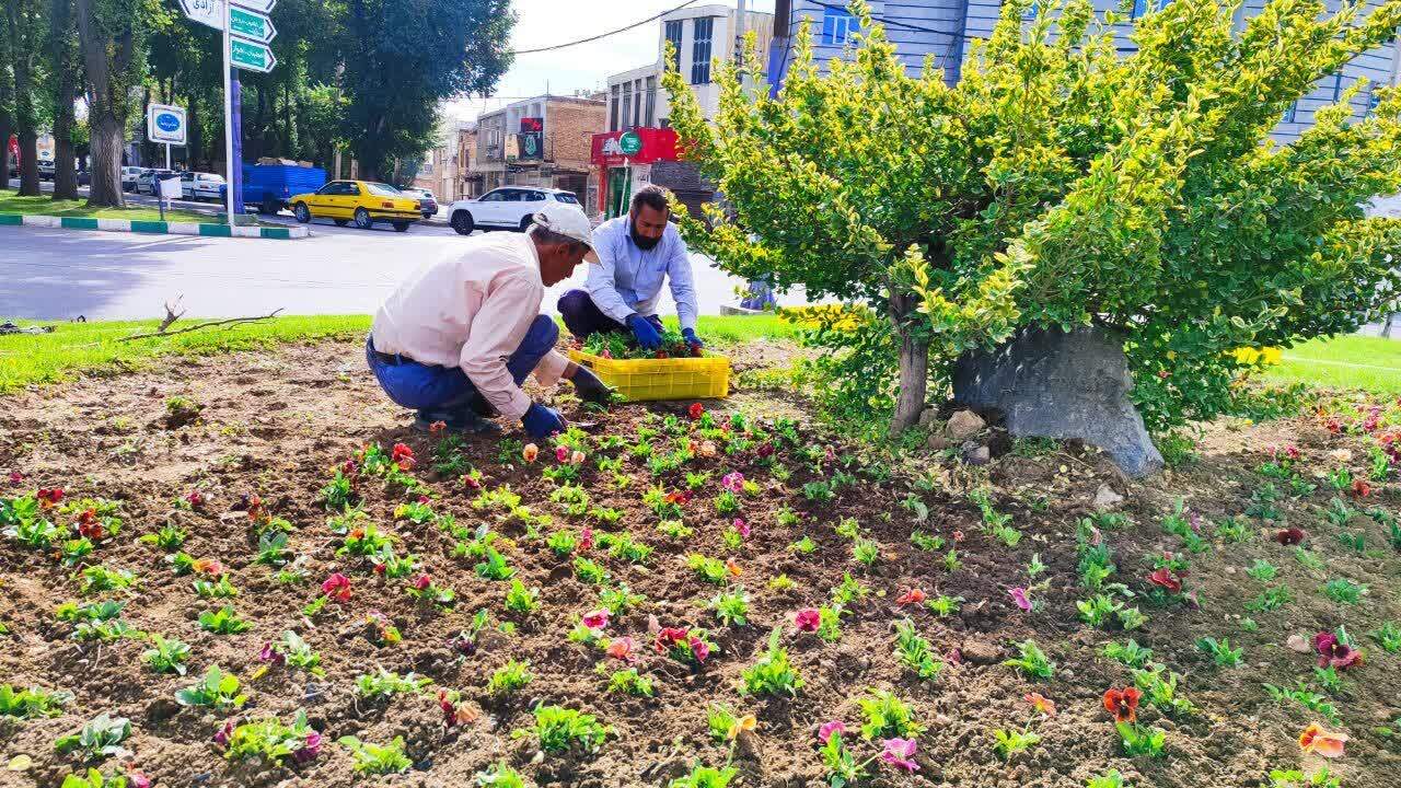 زیبایی پاییزی با گل‌های زینتی در بوستان‌های شهرکرد+ تصاویر