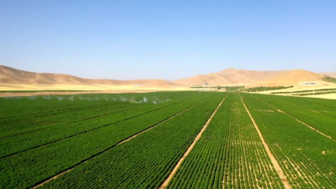 روستای هرچگان پیشرو در اجرای سامانه‌های نوین آبیاری