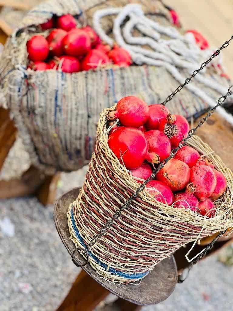 برگزاری جشنی با رنگ و بوی انار در بجستان